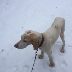 Meet your Posher, Jesse